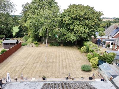 Picture 24